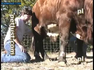 cowboy Zoofilia - Animal Porn Free