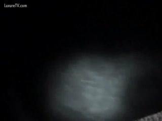 Dog sex free online