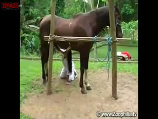 2 Blonde fucking Group With Horse