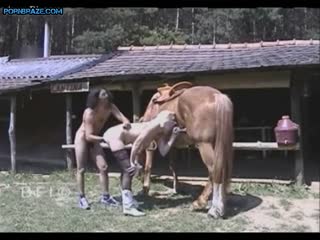 Horse Fucking Girl Porn Captions - Young Couple have threesome with horse Fuck Free - Animal Porn Free