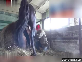 College Slut Living Her Wildest Fantasy: Enjoying Horse Cock!