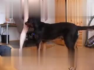 Unbelievable! Free XXX Anal Dog Love Porn Video Now Available!
