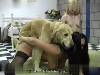 Wild Night Out: Watch Two Bored Girls Take Turns to Enjoy 'Doggy Style' with a Big Mutt in This Animal Porn Clip!