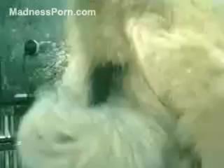 White Wife Experiences Wild Passion on Beach with Her Resigned Dog: Beastiality Porn XXX Zoophilia xxx Video Zoo Download Animal Video Free!