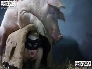 Sizzling Hot Closeup Pig Fuck Scene: A Wildly Horny Lady Sex XXX Zoo Free Watch Animal Sex XXX!