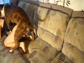 Animal movie free download teen's first anal sex with dog in the zoo