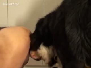 Up close and personal - Zoophilia zoo porn xxx top the biggest website for animal sex in the world